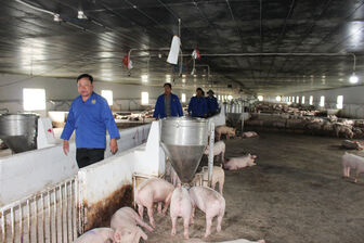 Chuyển đổi số trong quản lý chăn nuôi