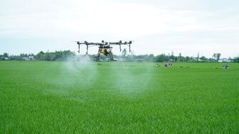 Tận dụng thời cơ lúa gạo