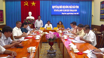 Họp Tổ Đại biểu số 8, HĐND tỉnh An Giang