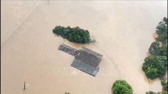 Brazil: Khoảng 90 người thiệt mạng và mất tích do bão nhiệt đới