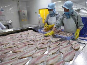 Cơ hội đẩy mạnh xuất khẩu cá tra vào Hoa Kỳ sau công bố POR19
