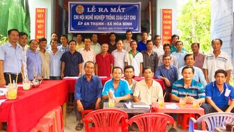 An Giang hỗ trợ nông dân làm ăn tập thể