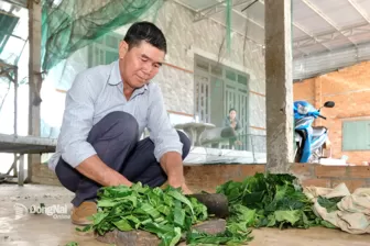Nghề nuôi tằm ở Sông Ray