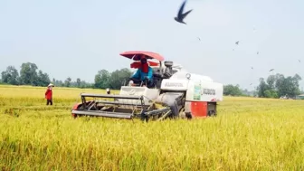 Thắng lợi kép từ vụ lúa năm 2023