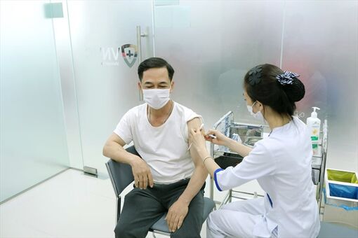 Vaccine phòng sốt xuất huyết Nhật Bản dự kiến sẽ có mặt tại Việt Nam