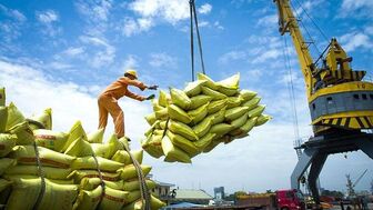 Xuất khẩu nông lâm thủy sản: Khả năng cán đích 54 - 55 tỷ USD