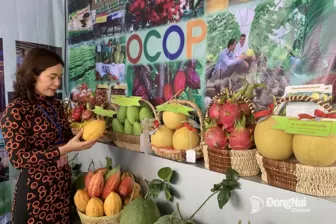 Biến các vùng chuyên canh thành sản phẩm du lịch