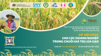 Cơ hội vàng cho các doanh nghiệp trong chuỗi giá trị lúa gạo khi tham gia Cuộc thi “có một không hai” về sản xuất lúa bền vững ở đồng bằng sông Cửu Long