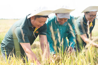 Lộc trời và FMO – Ngân hàng Phát triển doanh nghiệp Hà Lan ký kết gói tín dụng 90 triệu USD sản xuất lúa gạo bền vững