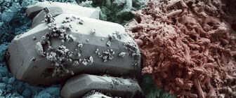 Công nghệ sinh học tạo ra loại bê tông mới có thể tự vá các vết nứt