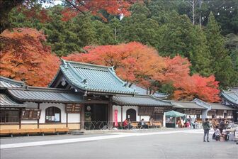 Vẻ đẹp kỳ bí tại ngôi chùa Nhật Bản hơn 600 tuổi trong tiết Thu