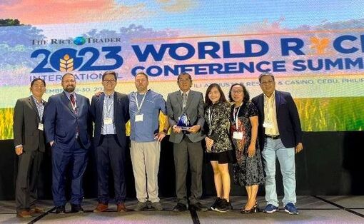 Gạo thơm Việt Nam đạt giải gạo ngon nhất thế giới năm 2023